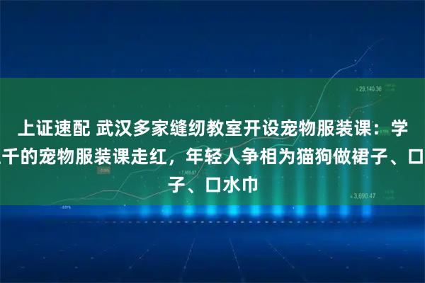上证速配 武汉多家缝纫教室开设宠物服装课：学费上千的宠物服装课走红，年轻人争相为猫狗做裙子、口水巾