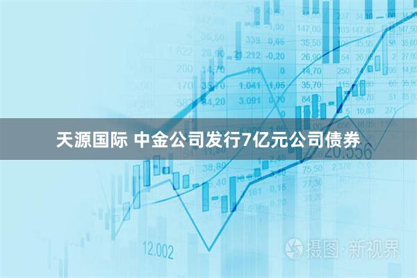 天源国际 中金公司发行7亿元公司债券